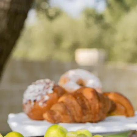 U Ceccenate Montalbano (Apulia)