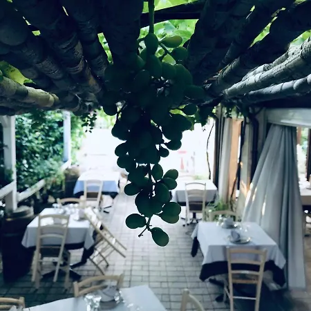 U Ceccenate Bed & Breakfast Montalbano (Apulia)