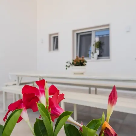 U Ceccenate Montalbano (Apulia)