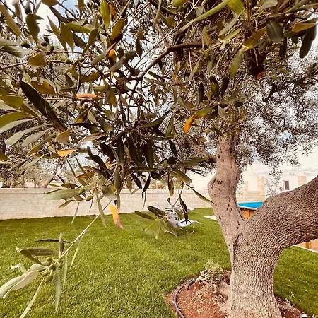 Bed & Breakfast U Ceccenate *