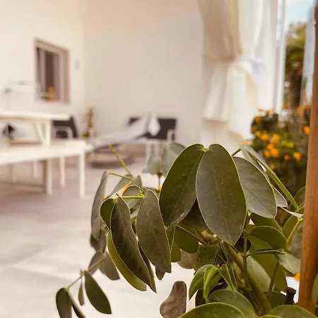 Bed and Breakfast U Ceccenate