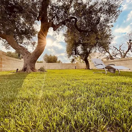 Bed and Breakfast U Ceccenate 3*