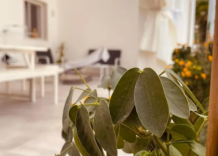 Bed & Breakfast U Ceccenate